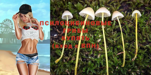 гидропоника Абаза