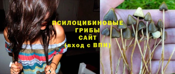 эйфоретик Нязепетровск