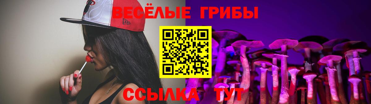 Псилоцибиновые грибы ЛСД  как найти   Алапаевск  Псилоцибиновые грибы Psilocybe 